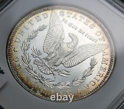 1880-s Morgan Silver Dollar Ngc Cac Ms64 Toned Collector Coin. Free Shipping