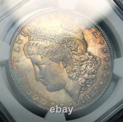 1882-s Morgan Silver Dollar Ngc Ms64 Toned Collector Coin. Free Shipping