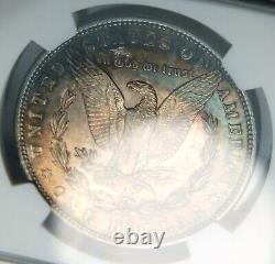 1882-s Morgan Silver Dollar Ngc Ms64 Toned Collector Coin. Free Shipping