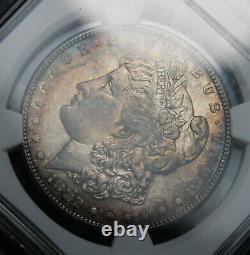 1882-s Morgan Silver Dollar Ngc Ms64 Toned Collector Coin. Free Shipping