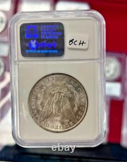 1884-O NGC MS65 Morgan