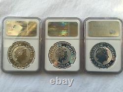 1999-2010 Australia Silver Lunar Complete Set 12 Coins 1oz Ngc-ms69 Rare