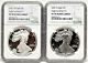2 Coin Set, 2021 Type 2 W & S Proof Silver Eagles, Ngc Pf70uc, Brown Label