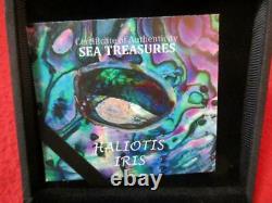 2012 Palau Silver $5 Sea Treasures NGC PF 70 Haliotis Iris Hologram With OGP