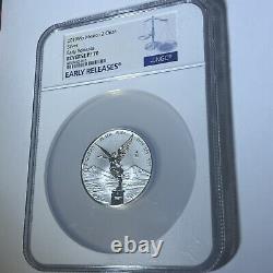 2019 Mexico 2 oz Silver Libertad Reverse Proof NGC PF70 010 Of 058 Total Pop