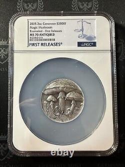 2025 Cameroon 2 oz Silver Antiqued Magic Mushroom NGC MS 70 Enameled 1st Release