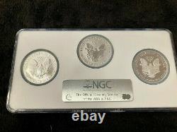 20th Anniversary Silver Coin Set NGC-70