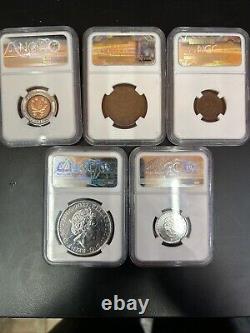 Blue Seal, Ngc, Proofs And Currency Lot And Horse Blanket And Low Cond Horse