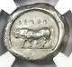 Greek Lucania Poseidonia AR Stater Silver Bull Coin 470-420 BC NGC Choice VF