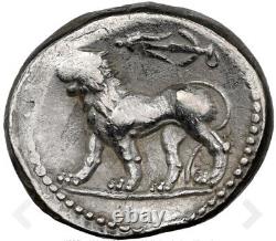 NGC Ch VF Seleucus I Nicator SELEUCID KINGDOM 312-281 BC Silver Stater Lion Coin