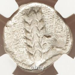 NGC VF Lucania Metapontum Stater Silver Barley Coin 470-440 BC Ancient Greek