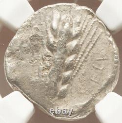 NGC VF Lucania Metapontum Stater Silver Barley Coin 470-440 BC Ancient Greek