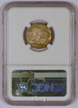 Toned 1929-S Buffalo Nickel Coin from the San Francisco Mint Graded MS65 by NGC